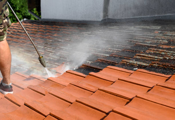 Best Affordable Pressure Washing  in Huntley, IL