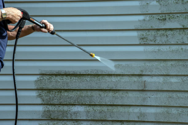 Best Exterior Home Cleaning  in Huntley, IL